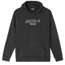 Pull à capuche Disney : 100...