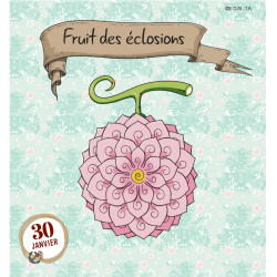 Mini calendrier 365 jours avec One Piece