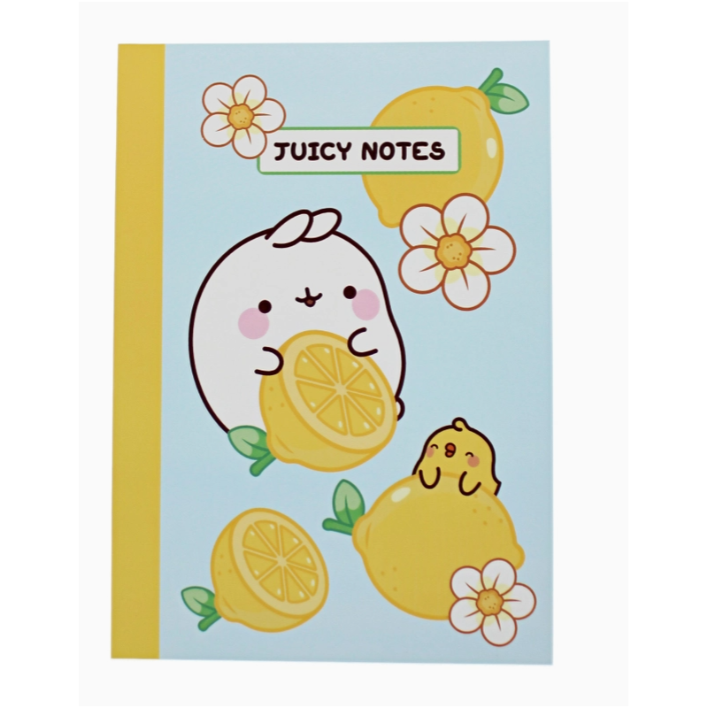 CARNET MOLANG FRUITS