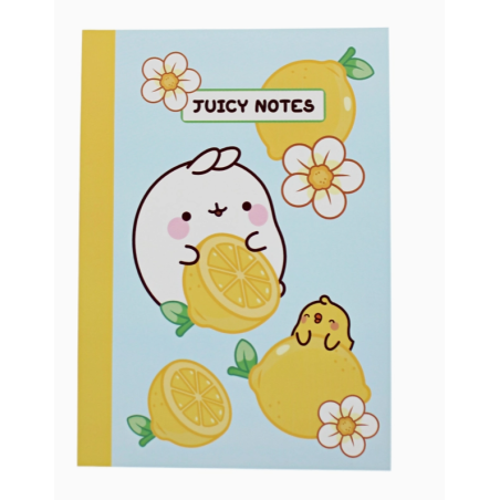CARNET MOLANG FRUITS