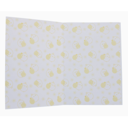 CARNET MOLANG FRUITS