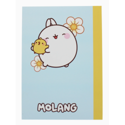 CARNET MOLANG FRUITS