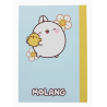 CARNET MOLANG FRUITS