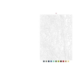 50 coloriages mystères