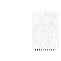 50 coloriages mystères