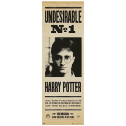 POSTER DE PORTE UNDESIRABLE...