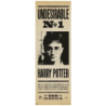 POSTER DE PORTE UNDESIRABLE N°1 HARRY POTTER