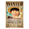 POSTER ONE PIECE NETFLIX - WANTED MONKEY D. LUFFY