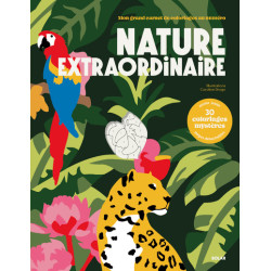 COLORIAGES AU NUMERO -...