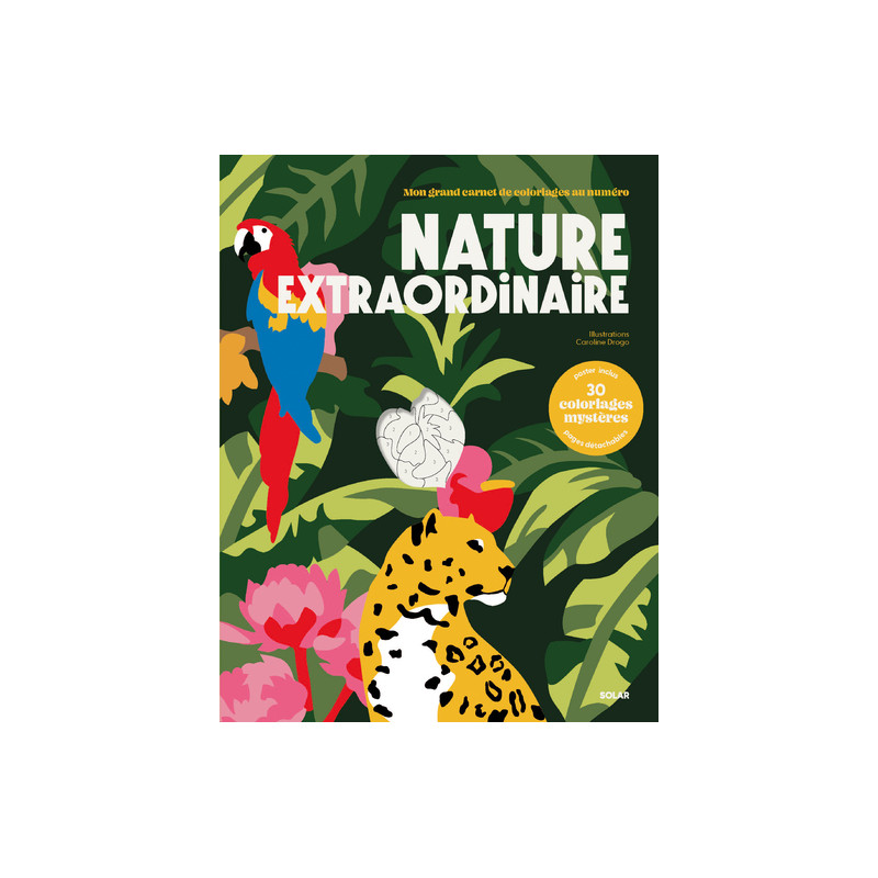 COLORIAGES AU NUMERO - NATURE EXTRAORDINAIRE