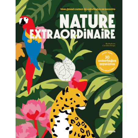 COLORIAGES AU NUMERO - NATURE EXTRAORDINAIRE