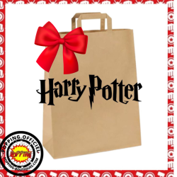 SAC SURPRISE HARRY POTTER - Avec Cadeau