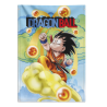 AFFICHE DÉCO KAKÉMONO DRAGON BALL PERSONNAGES