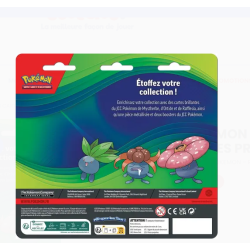 Blind Box PACK 2 BOOSTERS + PIECE + 3 CARTES Pokemon