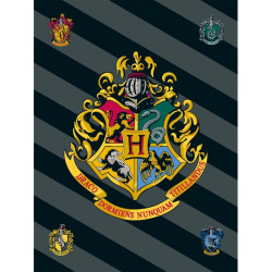 Plaid blason Poudlard Harry Potter