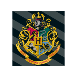 Plaid blason Poudlard Harry Potter