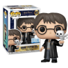 Figurine Funko POP N°197 - Harry avec Hedwige - Harry Potter