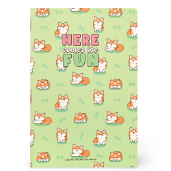 Cahier Ligné B5 à...