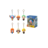 Blind Box Porte-Clés Pocket Hero One Piece