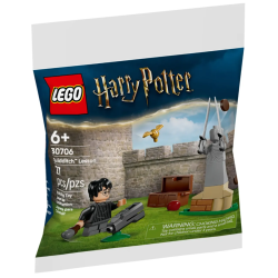 LEGO La Leçon De Quidditch...