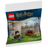 LEGO La Leçon De Quidditch - Harry Potter