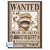 Set de 2 posters Wanted Luffy & Zoro - One Piece
