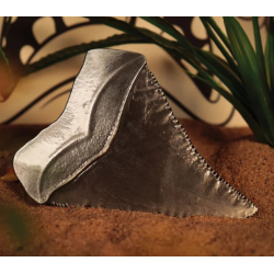 Médaillon 50ème anniversaire - Jaws  (Les Dents de la Mer)