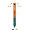 Stylo à Bille à Deux Couleurs Tigre Click&Clack LEGAMI