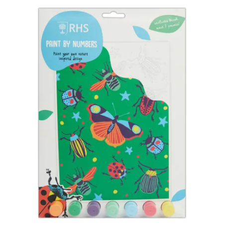 Kit de peinture aux numéros Insectes