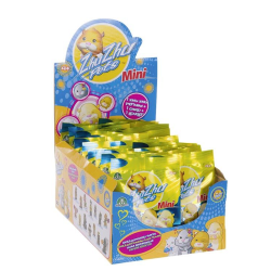 Blind Box figurine Mini Figure Hamster Zhu Zhu Pets