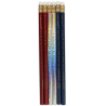 Set de 6 crayons HARRY POTTER