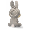 Porte-clés Peluche Panpan  Disney