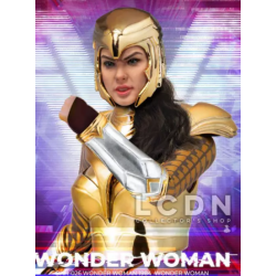 FIGURINE DC WONDER WOMAN 1984 ARMURE DORÉE