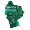 Set gants bonnet et écharpe Serpentard