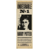 POSTER DE PORTE UNDESIRABLE N°1 HARRY POTTER